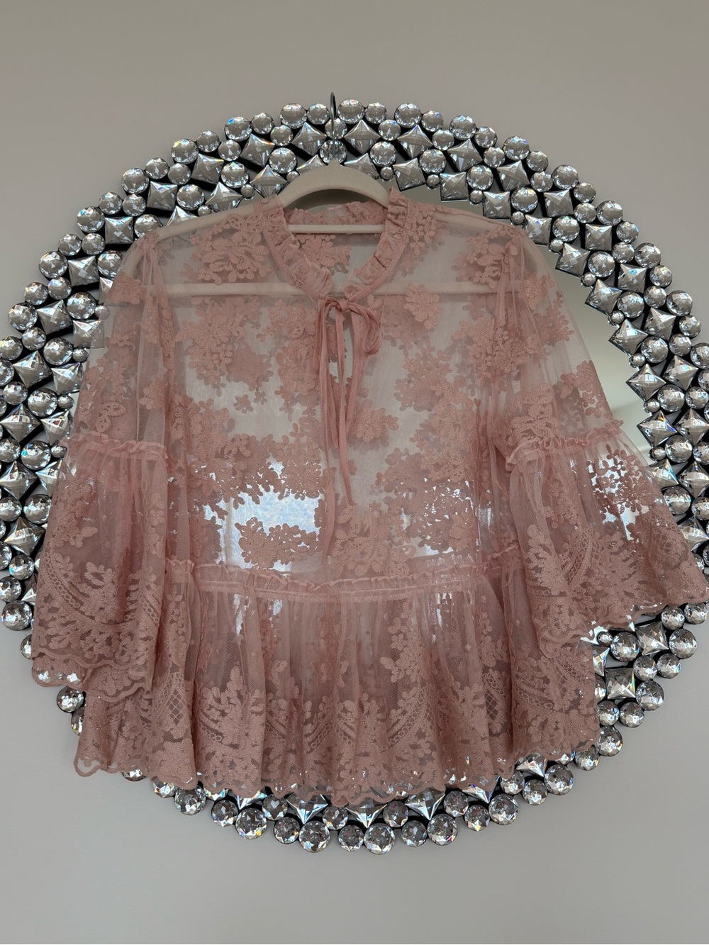 Sheer Lace Tie-Neck Blouse - Dusty Rose